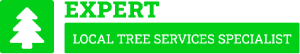 Invercargill Tree Removal - Tree Removal Invercargill